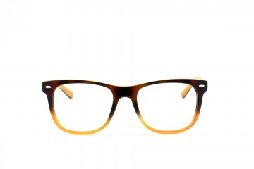  - H105 - Brillen