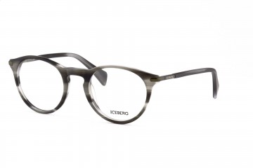  - IC005 - Brillen